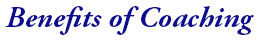 A blue and white logo of the city of chicago